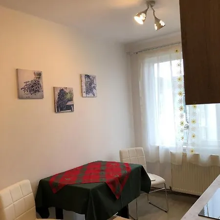 Apartament Central Napoca Apartamento Cluj-Napoca